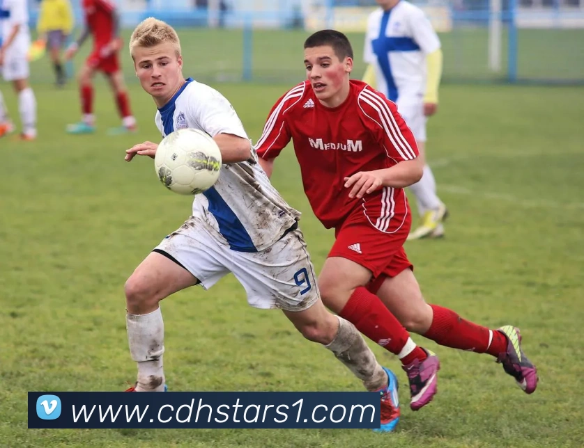 必一运动平台生态图